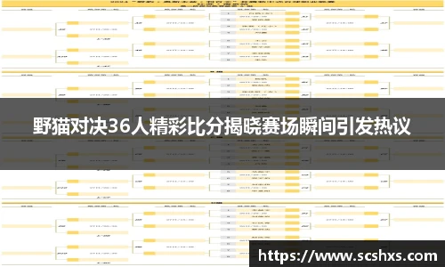 星空·综合体育官网