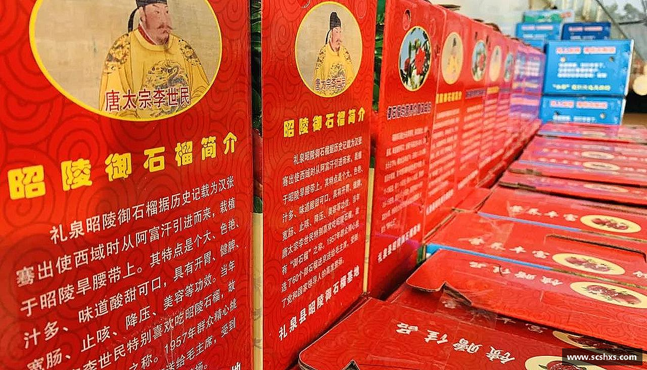 团结奋进，共赢未来！